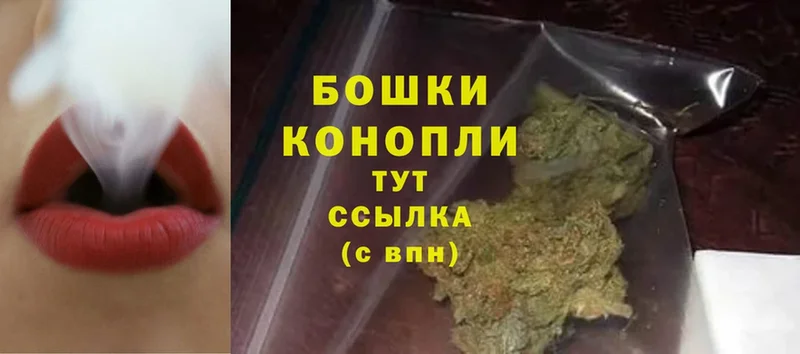 где можно купить   Ардатов  Шишки марихуана White Widow 